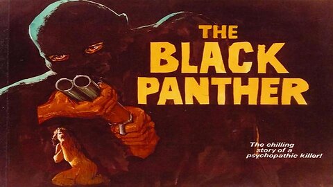 THE BLACK PANTHER 1977 Discharged Military Ops Soldier Pursues Life Of Crime FULL MOVIE HD & W/S