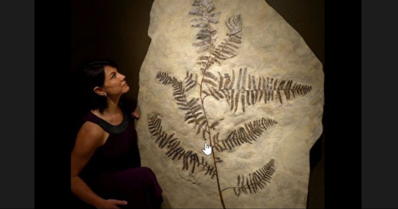 Facebook Fossil Plants