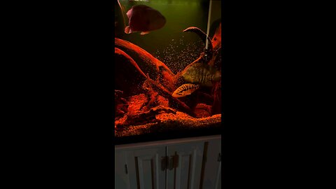 WOW😮😮😮😮 have a beby