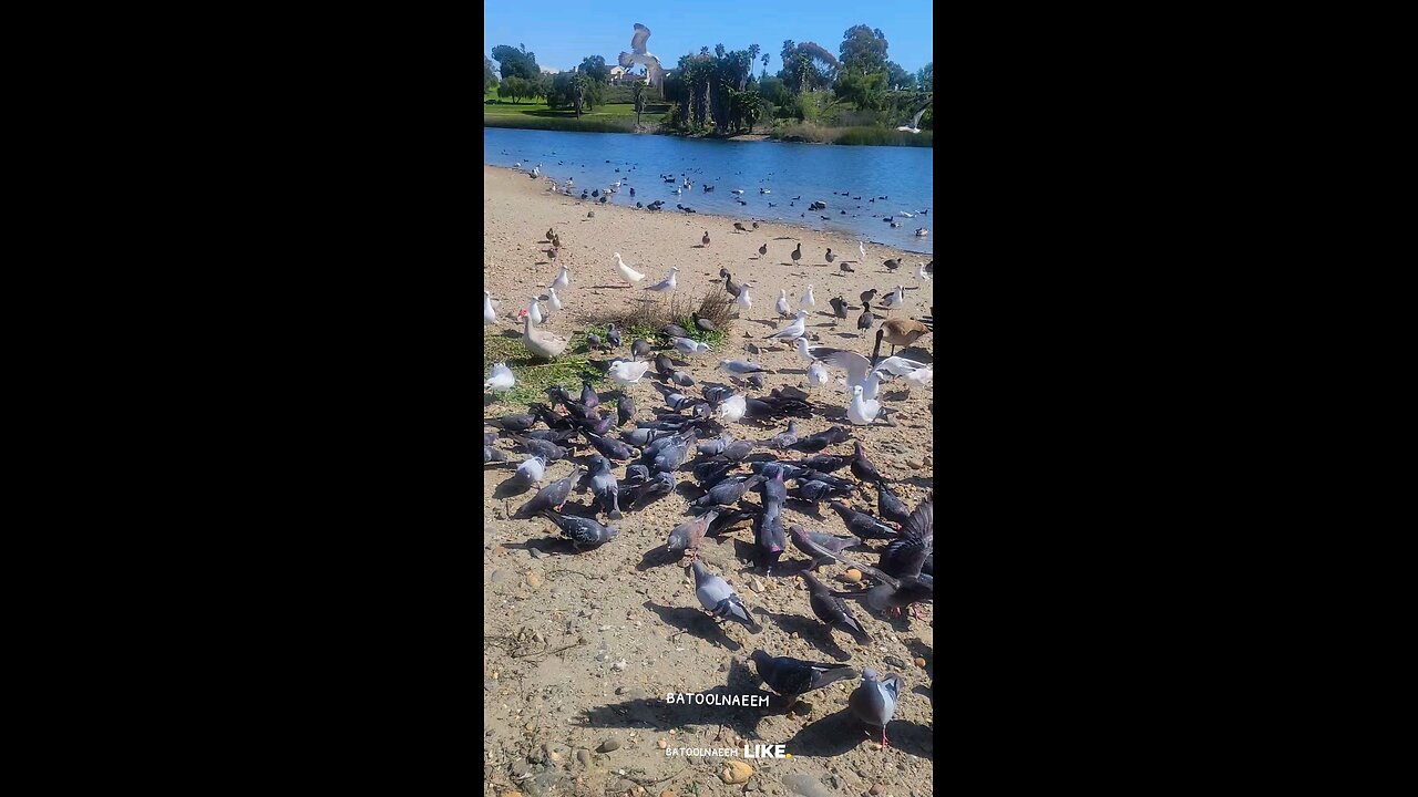 #foryoupage#viralvideo