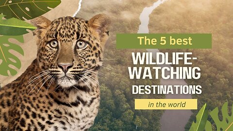 Top 5 Epic Wildlife Destinations