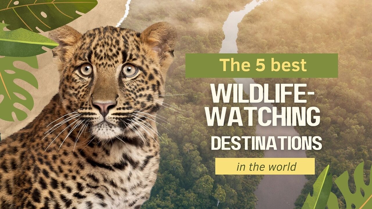 Top 5 Epic Wildlife Destinations