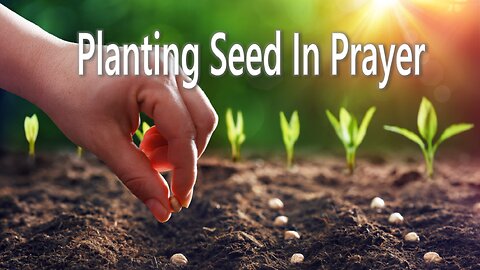 Planting Seed In Prayer - John 3:16 C.M. Sunday Morning Service LIVE Stream 8/10/2025