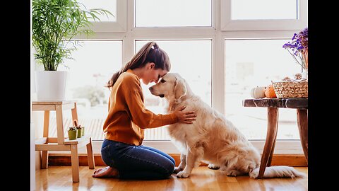 OUR ANIMALS FEEL EVERYTHING-HOW TO SHIELD THEM WITH LOVE