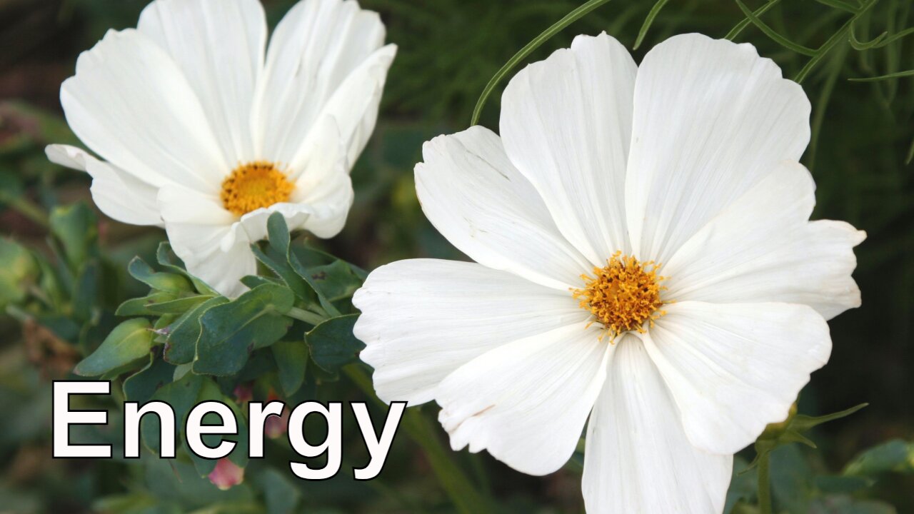 Calling Back Your Energy Meditation