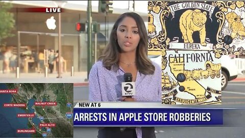 Colin Flaherty: California's New Motto - Well There Is Not Much We Can Do About Black Violence Crime