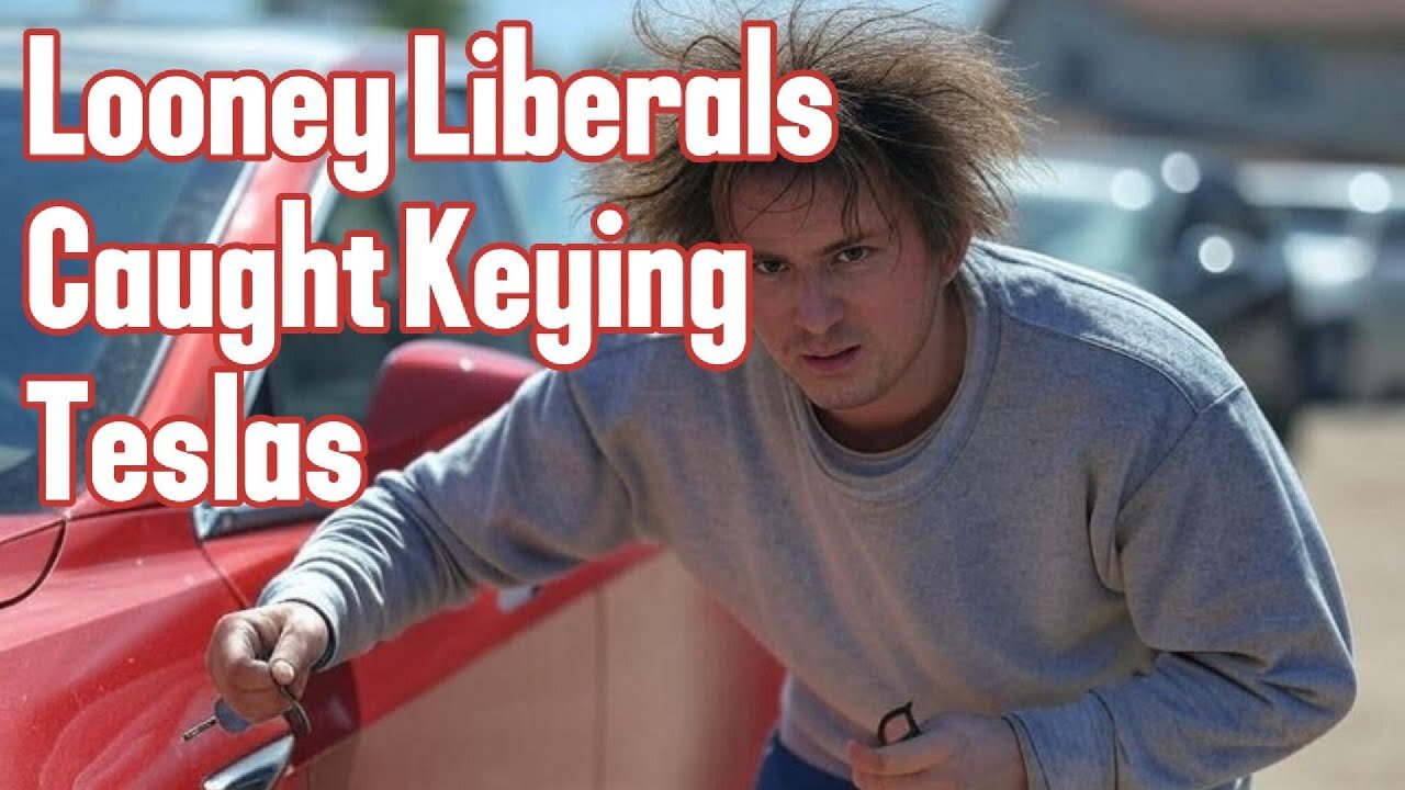 Liberals Vandalizing Teslas: Is DOGE Hate to Blame?