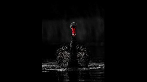 Silver Investment Recommendations / 12 10 2025 Рекомендация по инвестиям в серебро