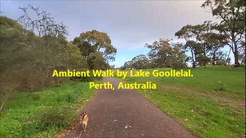🌿🐦Ambient Walk by Lake Goollelal. Perth, Australia