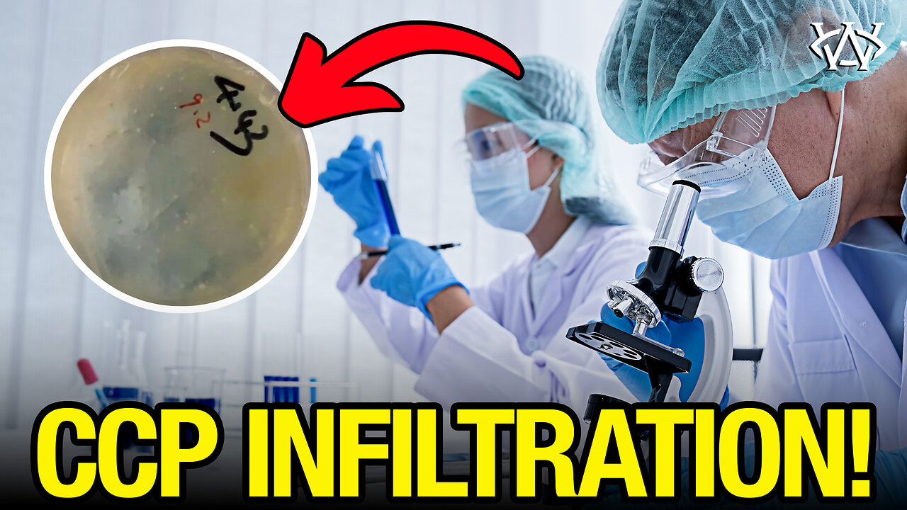 ANOTHER Chinese 'PhD' ARRESTED in Biomaterials Smuggling!