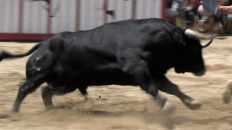 2025 07 05 LINARES DE MORA PEÑA TAURINA