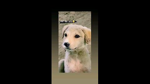 मम्मी के पास जाना है