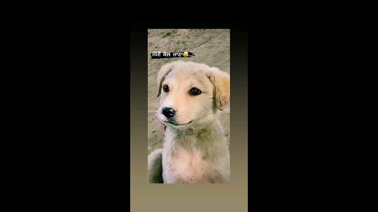 मम्मी के पास जाना है