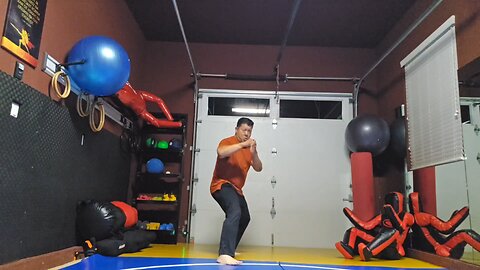 WTD 2 Step Kick Combination 166
