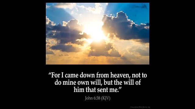 LUKE TO JOHN THE MESSAGE BIBLE-