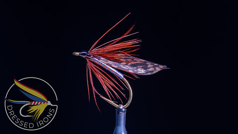 Tying the Hemlock Wet Fly- Dressed Irons