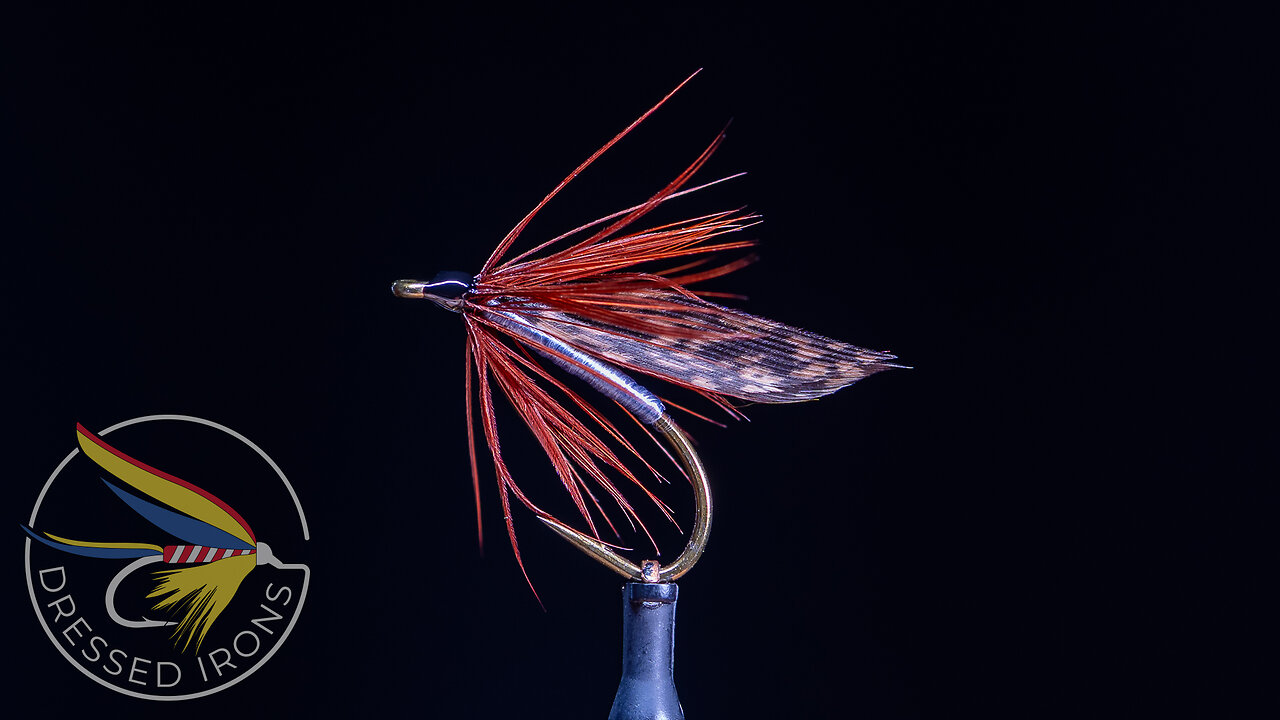 Tying the Hemlock Wet Fly- Dressed Irons