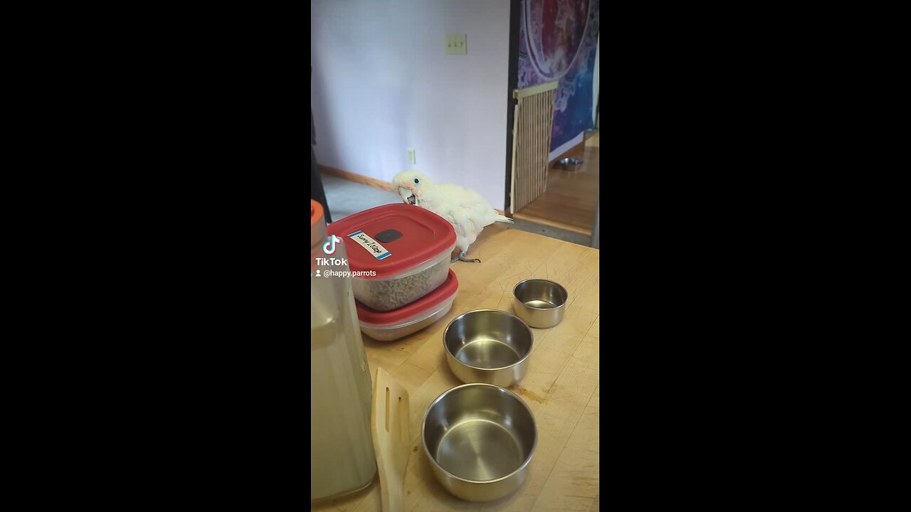 Helping In The Kitchen