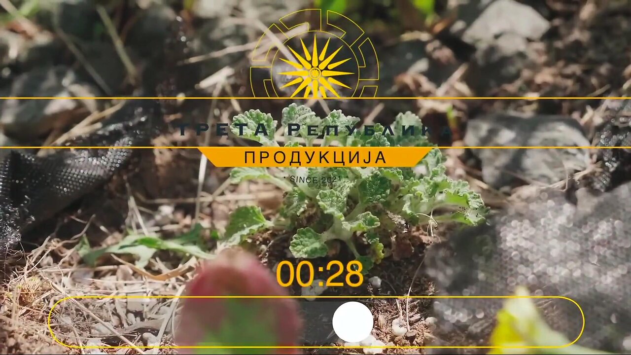 Македонски Билки - 5