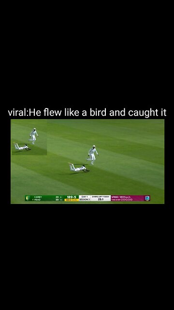 Viral: He flew like a bird and caught it