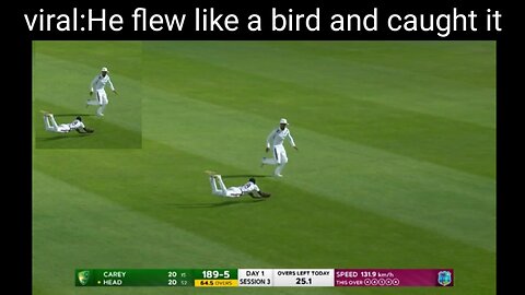 Viral: He flew like a bird and caught it