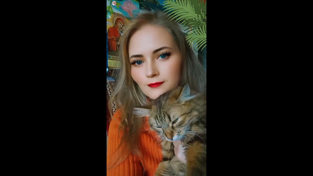#моя кошка#oдна на свете