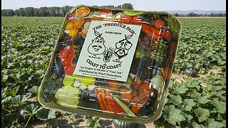 Honey Nut & Koji Nut Squash: The New Flavor Bombs of Fall! | The Produce Pair