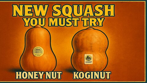 Honey Nut & Koji Nut Squash: The New Flavor Bombs of Fall! | The Produce Pair