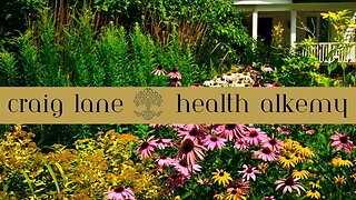 Craig Lane Health Alkemy - Summer Vitality Tips, and Nourishing Adrenals