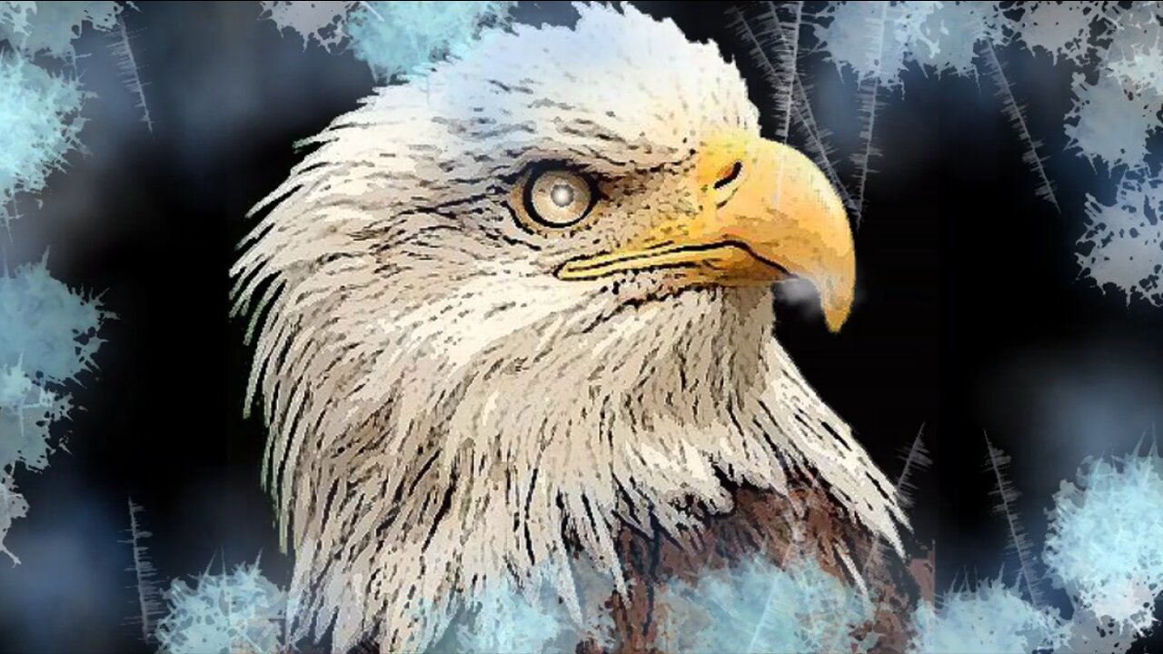 📽️ 🎞️ Thursday Night Docu (They tell you in movies) - 8:00pm EST 4/3/25 - 100% Free Speech Chat ..source/desc in comments..