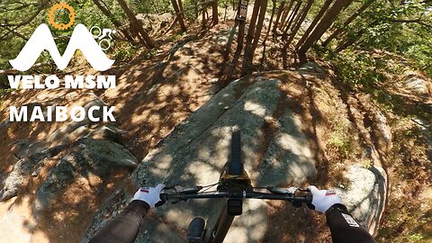Velo MSM - Maibock - Proline First Blind Run