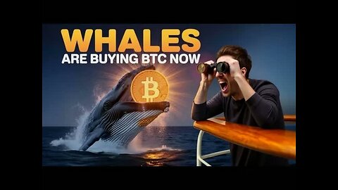 Bitcoin Whales Are BUYING (but when they sell...)