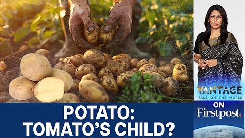 Potatoes Evolved from Tomatoes? Scientists Uncover 9 Million-Year-Old Secret | Vantage