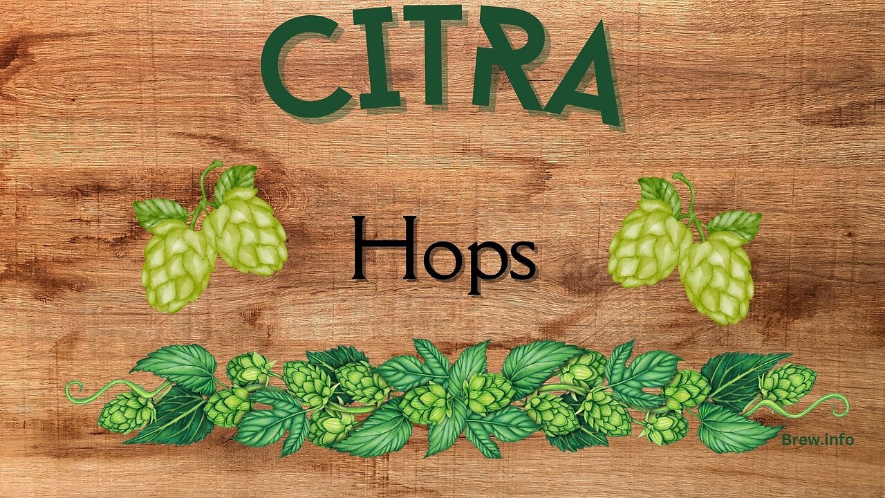 Citra Hops Explained - The Ultimate Guide for Homebrewers & Craft Beer Lovers!