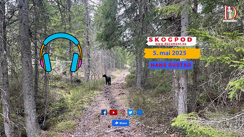 Skogpod 5. mai 2025