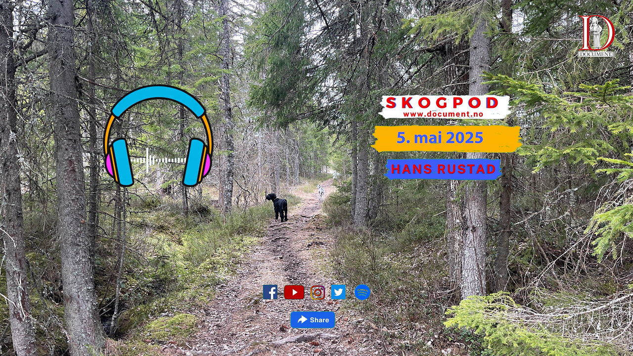 Skogpod 5. mai 2025