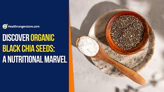 Discover Organic Black Chia Seeds: A nutritional marvel
