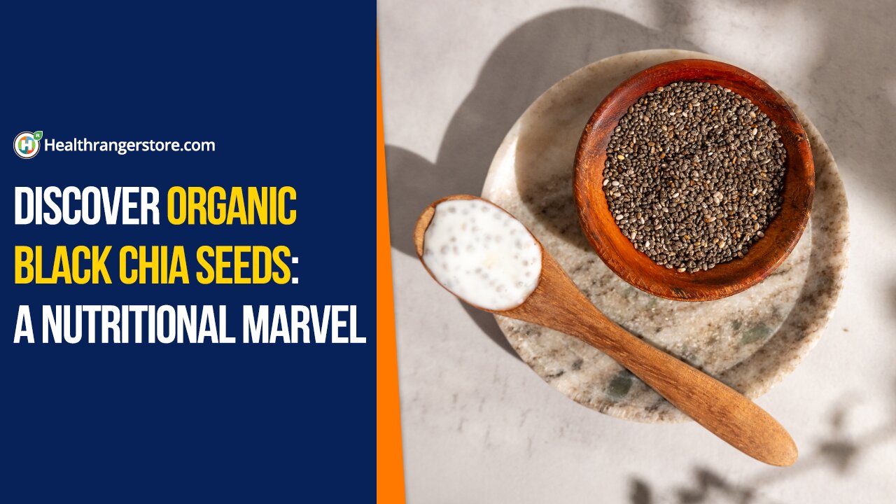 Discover Organic Black Chia Seeds: A nutritional marvel