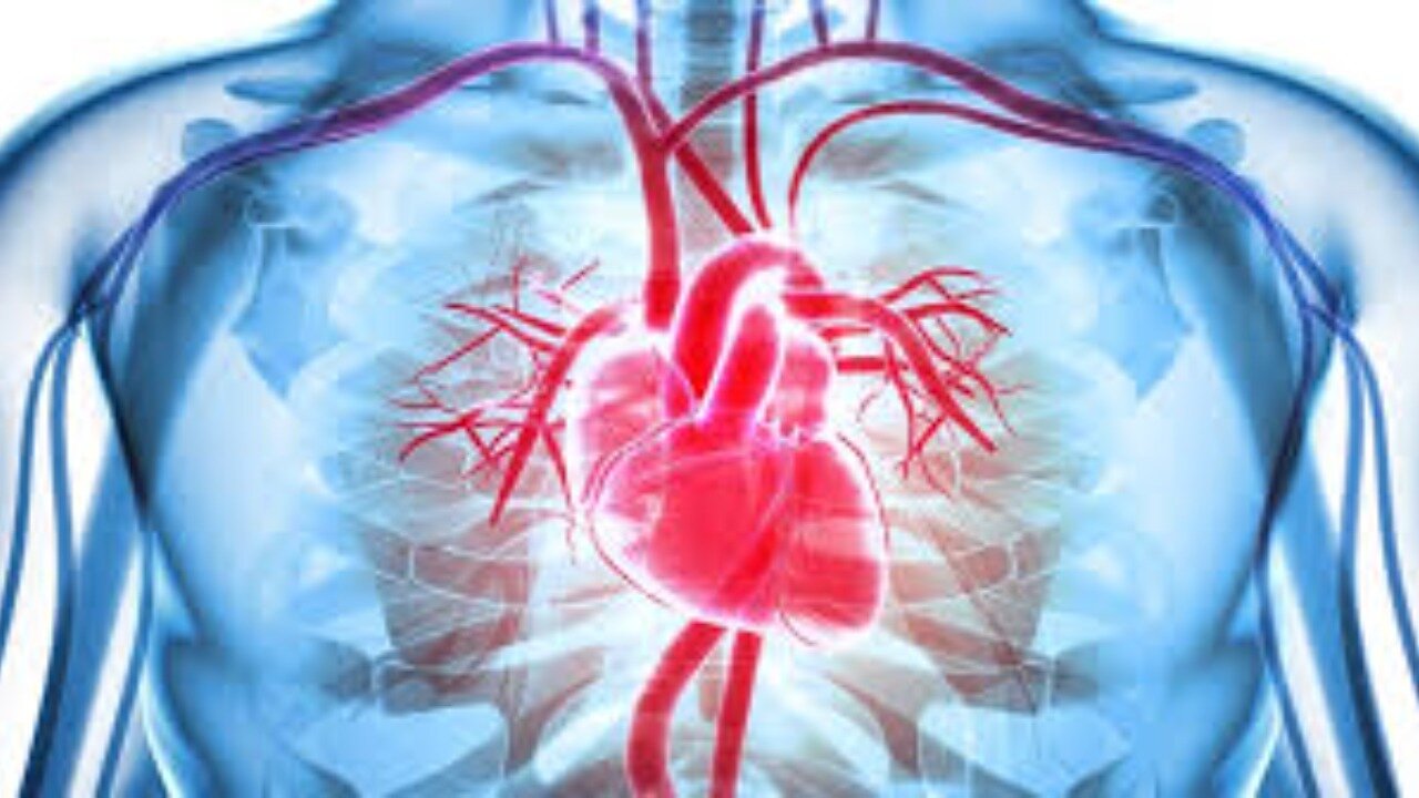 Dr Brian Ardis What You Need to Know about Heart Failure