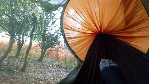 06, #hammock, thoughts, #ai , can never feel these