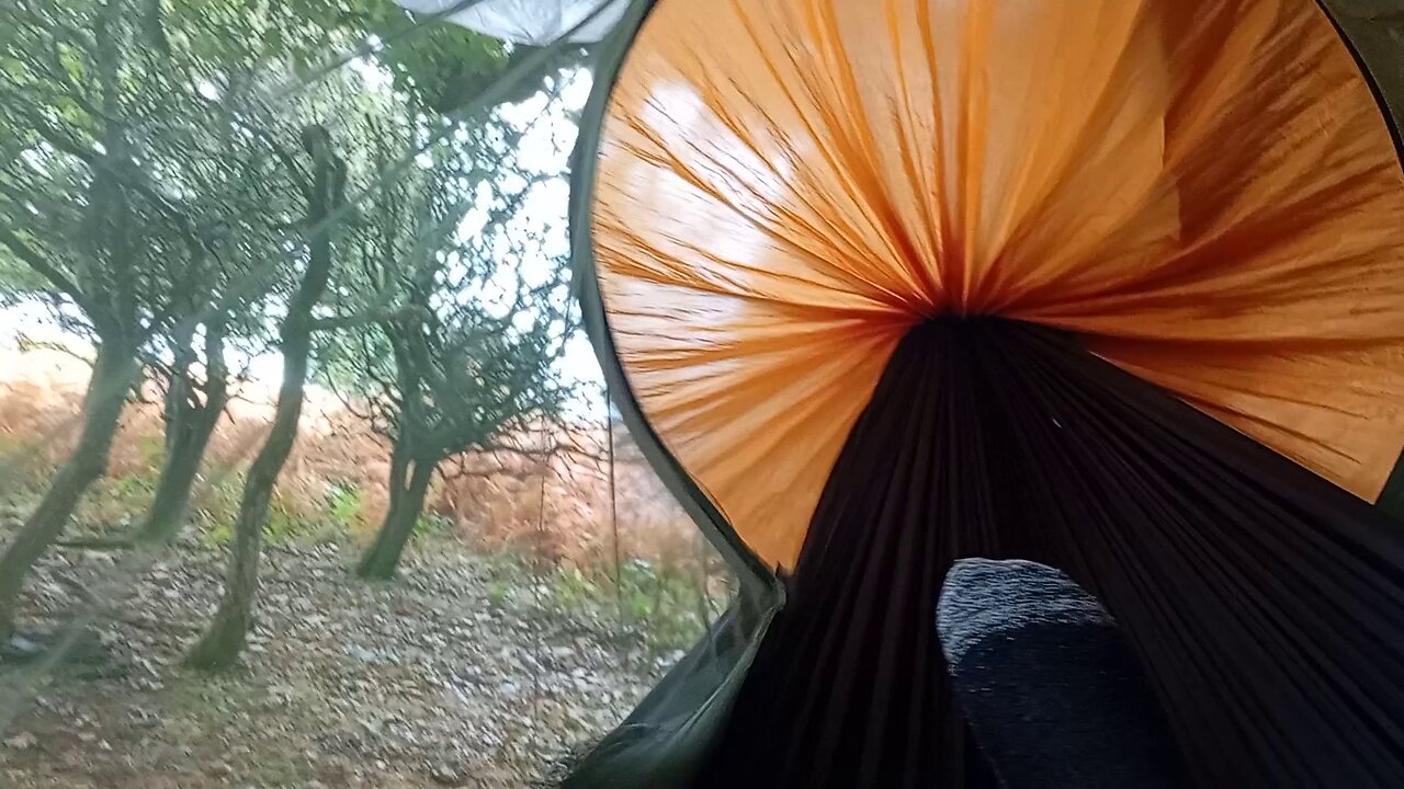 06, #hammock, thoughts, #ai , can never feel these