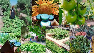 3 Year Timelapse Gardening with Orgone Energy from Fix the World Morocco