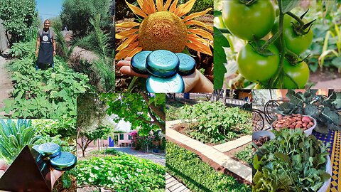 3 Year Timelapse Gardening with Orgone Energy from Fix the World Morocco