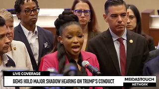 Jasmine Crockett Says Illegal Aliens Make America Great, Not American ICE Agents Enforcing Our Laws