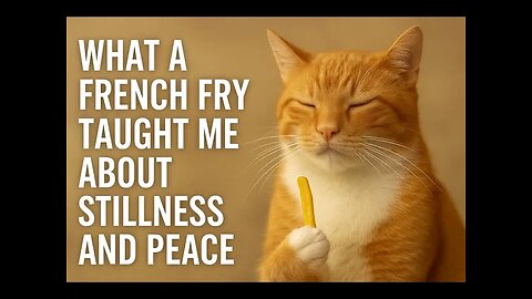 Stevie Finds Zen in a French Fry 🍟✨