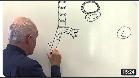 "Lungs, Chest Wall, and Diaphragm: Components of the Respiratory System"
