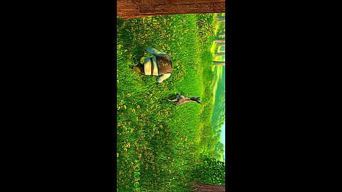 The beauty of Shrek || #shrek #shrekedit #cartoon #dreamworks #aesthetic #edit #fyp #viral