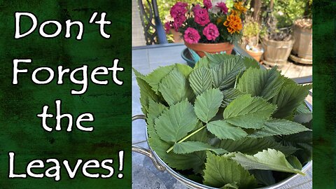 Don't Forget the Leaves!