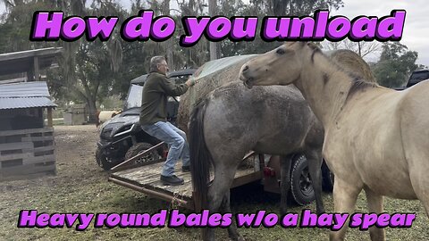 Unloading Round Bales the Hard Way… Because We Don’t Own a Hay Spear 🤷‍♂️