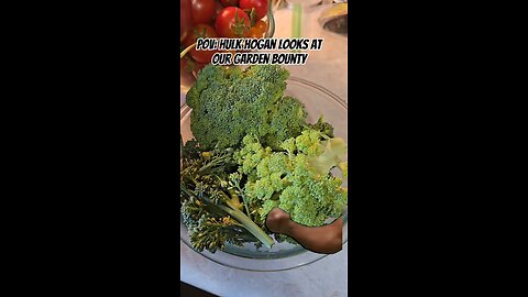 Hulk Hogan Approved Garden